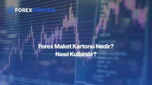 Forex Maket Kartonu Nedir? Nasıl Kullanılır?